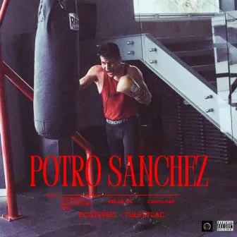 Potro Sanchez by Dycberso