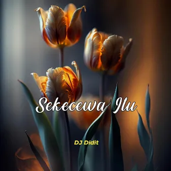 Sekecewa Itu (Remix) by Angga Candra