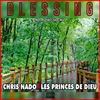 Blessing by Chris Nado