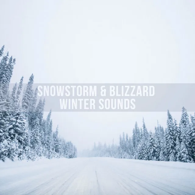 Blizzard Sounds for Sleep & Relaxation