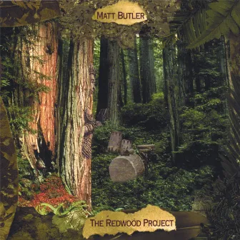 The Redwood Project by Matt Butler