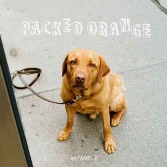 Packed Orange by Miyamoto