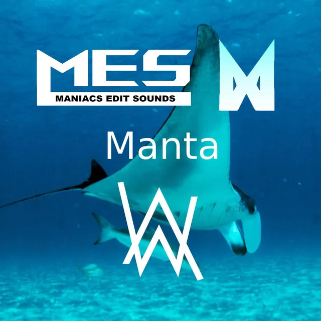 Manta