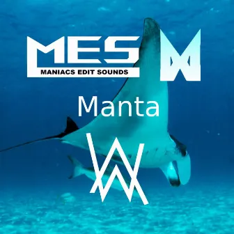 Manta by Matzx