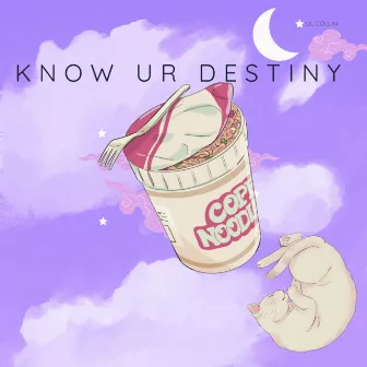 Know Ur Destiny by Lil Collin