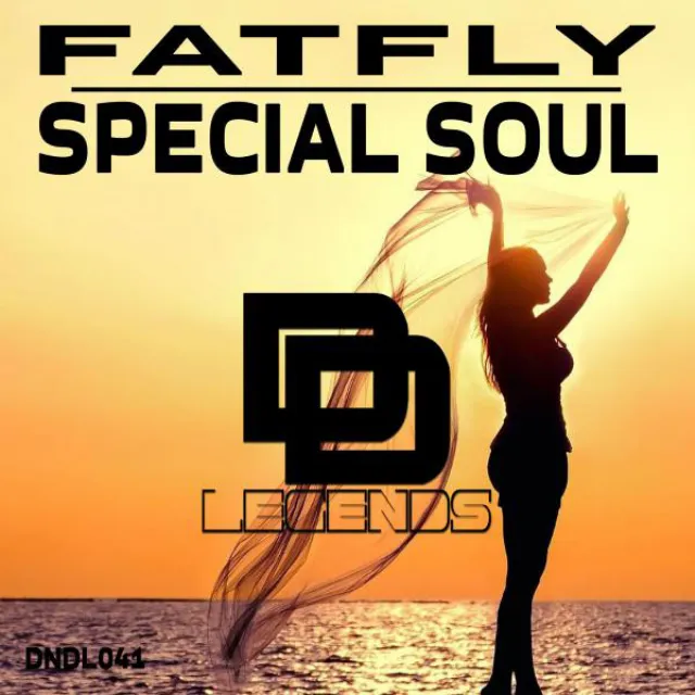 Special Soul (Original Mix)