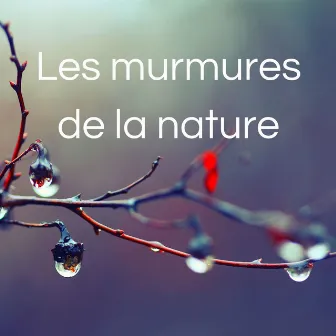 Les murmures de la nature: Bruits de la nature pour la calme et la détente by Cécile Doudou