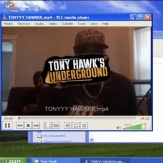 Tony Hawk by Superstar Sel