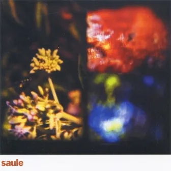 Saule by Saule