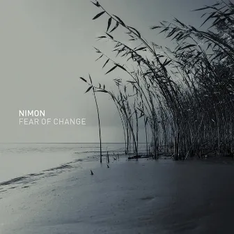 Fear of Change by Nimon