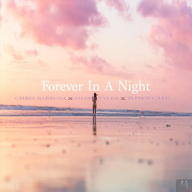 Forever in a Night