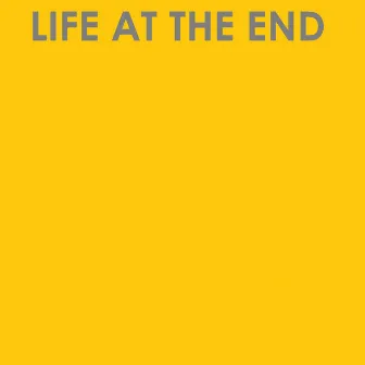 Life at the End by Stewart Birch