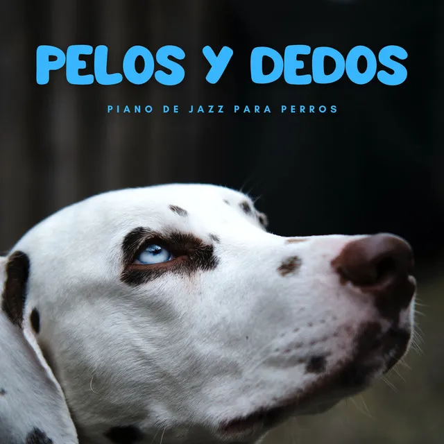 Melodías De Piano Caninas