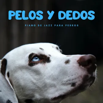 Pelos Y Dedos: Piano De Jazz Para Perros by Jazz de sábado por la mañana