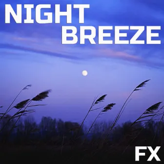 Night Breeze FX by Geographic Soundscapes