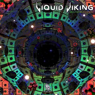 Multidimensional by Liquid Viking