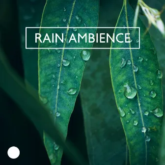 Rain Ambience: Nature Sounds Collection by Nature’s Temper