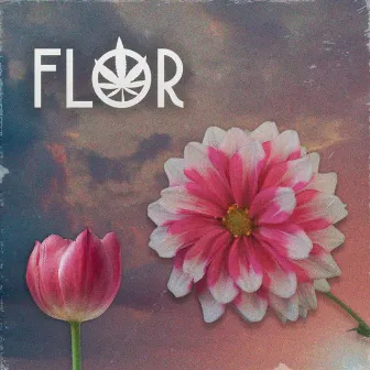 Flor by Ale D'Souza