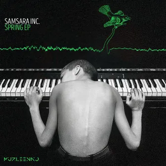 Spring by Samsara Inc.