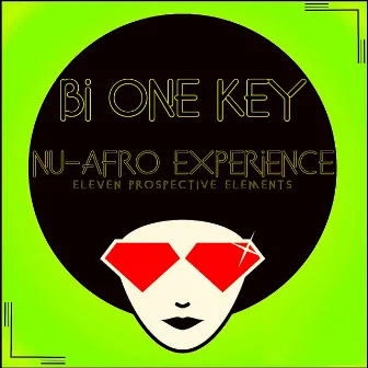 Nu-Afro Experience (Eleven Prospective Elements) by Bi One Key