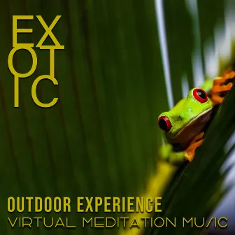 Exotic Outdoor Experience (Virtual Meditation Music) by Ambient Jungle Sounds