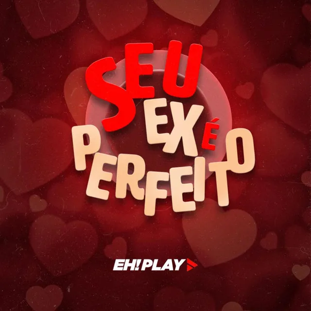 Seu Ex é Perfeito