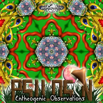 Entheogenic Observations by Psilosin