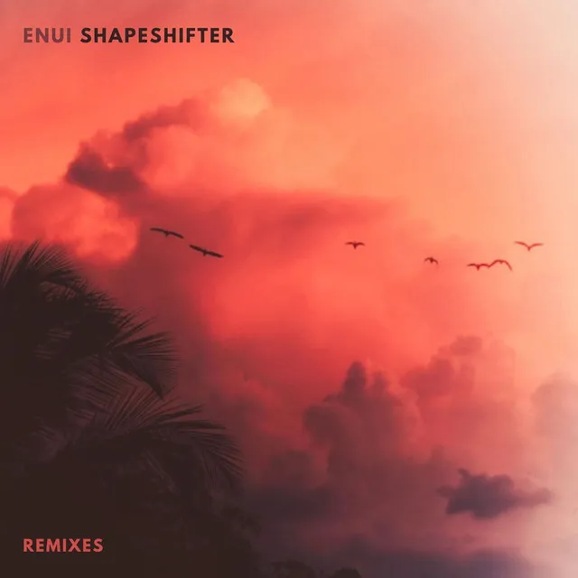 Shapeshifter - Tim Branch Remix