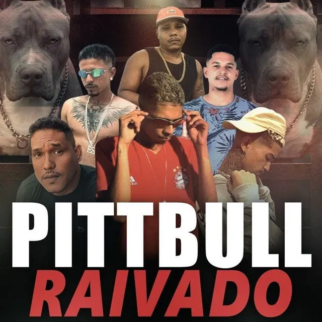 Pittbull Raivado