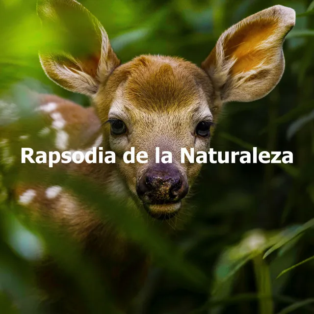 Rapsodia de la Naturaleza