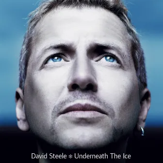 Underneath The Ice by David Steele