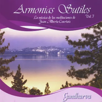 Armonias Sutiles, Vol. 7 (la Música de las Meditaciones de Juan Alberto Courtois) by Gandharva