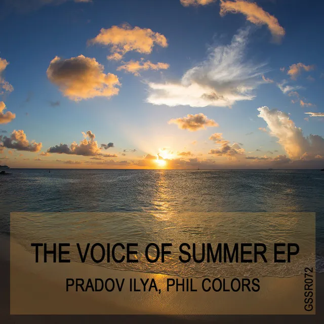 The Voice of Summer - Virtua Futura Remix