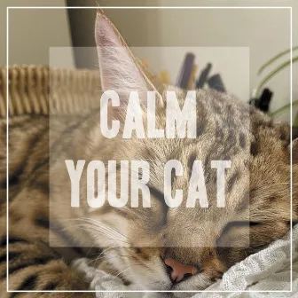 Calm Your Cat by Pet Music