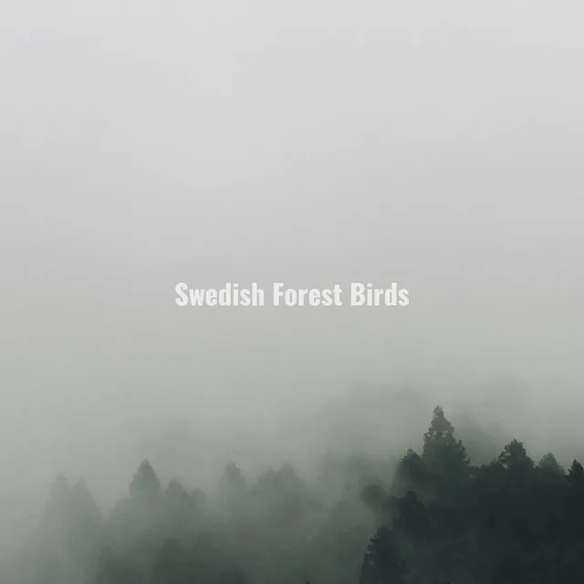 Swedish Forest Birds