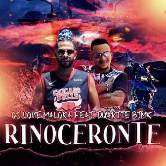 Rinoceronte by Os Love Maloka