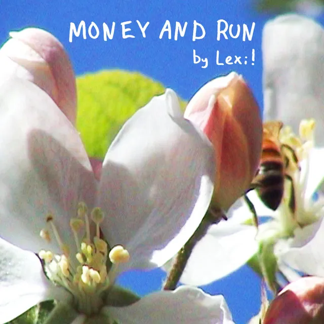 Money and Run