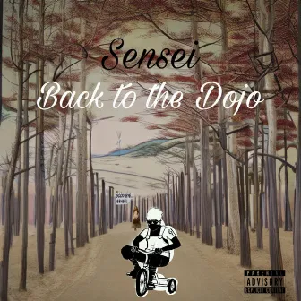 Back To The Dojo by Sensei