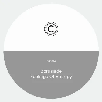 Feelings of Entropy by Borusiade