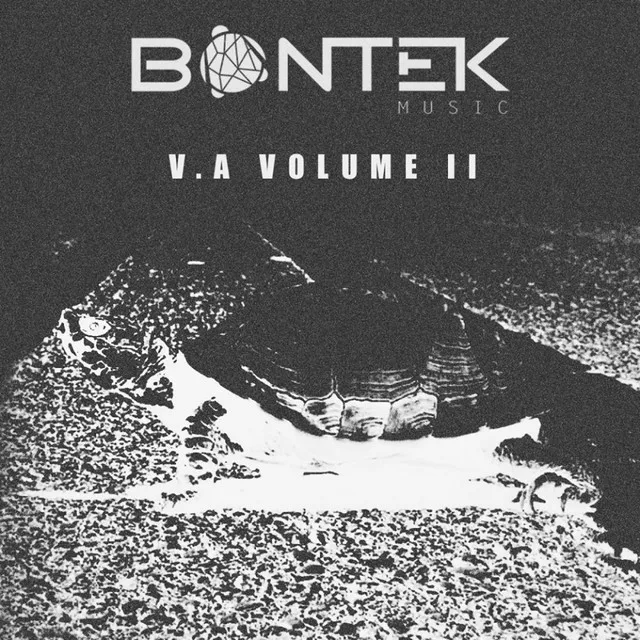 Bontek V. A II