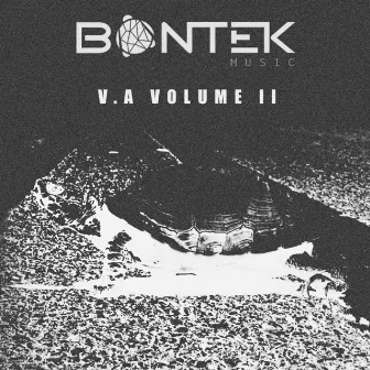 Bontek V. A II by Arche