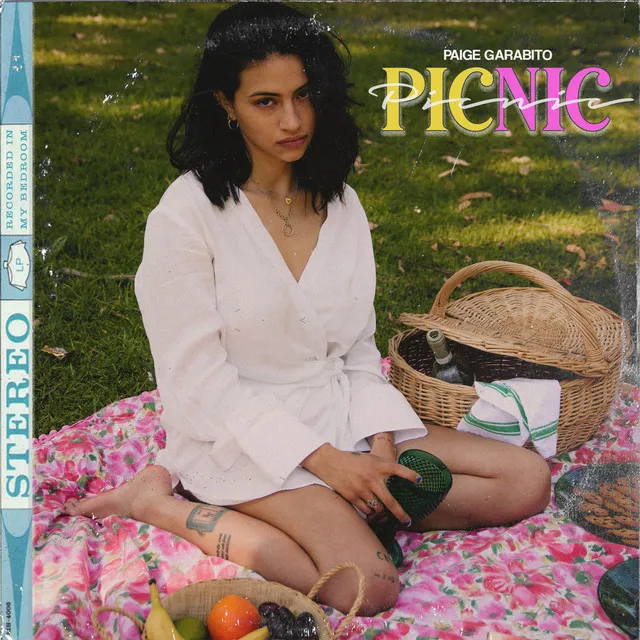 Picnic