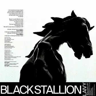 Black Stallion by LAIVY