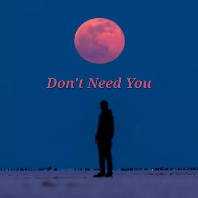 Don't Need You