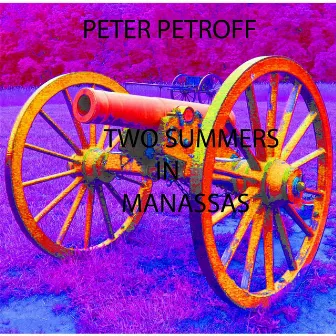 Two Summers in Manassas by Peter Petroff