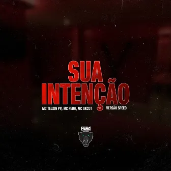 Sua Intenção (Versão Speed) by MC Theuzin