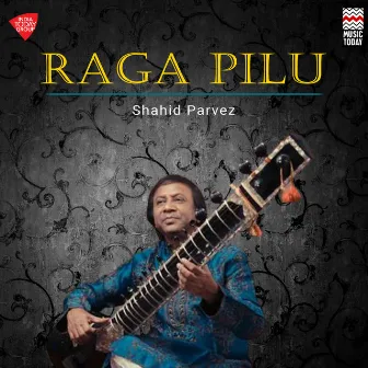 Raga Pilu (Shahid Parvez) by Shahid Parvez