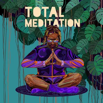 Total Meditation by Kabir Sehgal