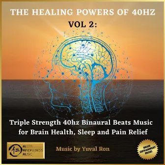 The Healing Power Of 40 Hz - Vol. 2 by Yuval Ron