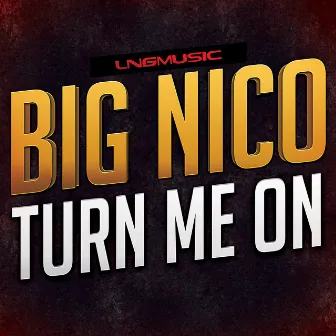 Turn Me On by Big Nico